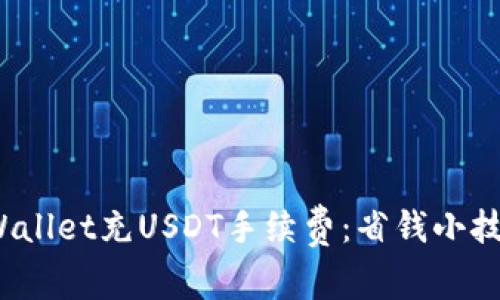  彻底解析tpWallet充USDT手续费：省钱小技巧与注意事项