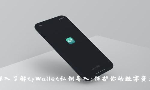 深入了解tpWallet私钥导入：保护你的数字资产
