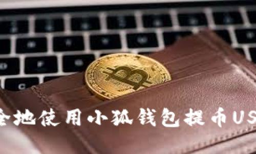 如何高效安全地使用小狐钱包提币USDT：全面指南