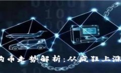 2021年狗狗币走势解析：从疯狂上涨到