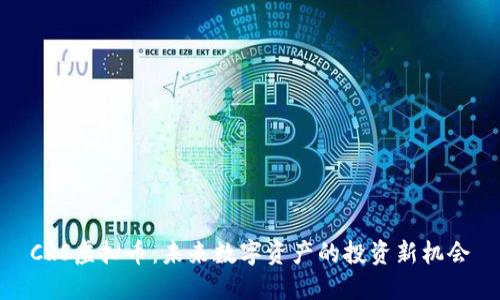 CRS虚拟币：未来数字资产的投资新机会