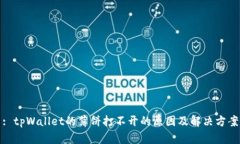 : tpWallet的薄饼打不开的原因及解决方