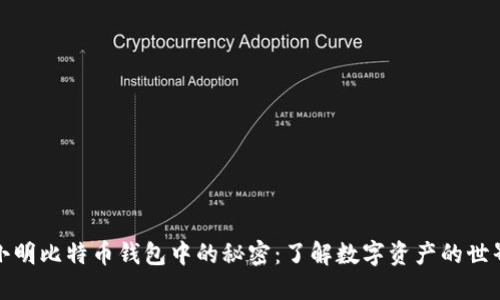 小明比特币钱包中的秘密：了解数字资产的世界
