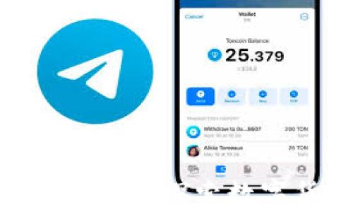 
印度能否使用tpWallet？探索数字货币与支付的未来