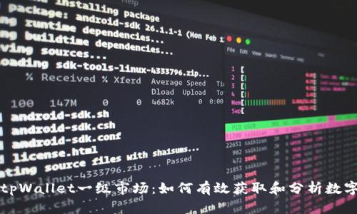 深度解析tpWallet一级市场：如何有效获取和分析数字货币信息