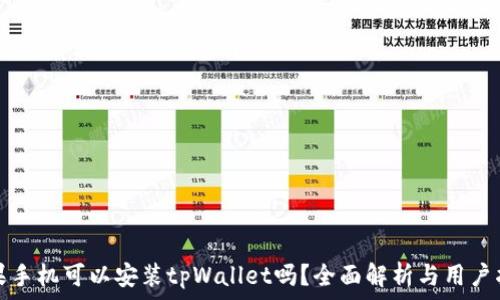  
苹果手机可以安装tpWallet吗？全面解析与用户指南