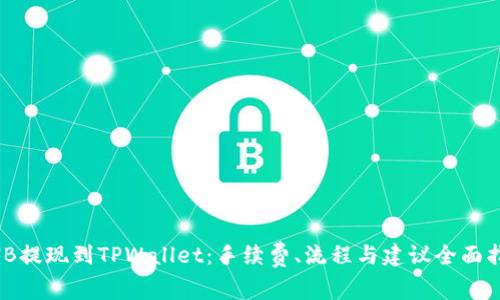 BNB提现到TPWallet：手续费、流程与建议全面指南