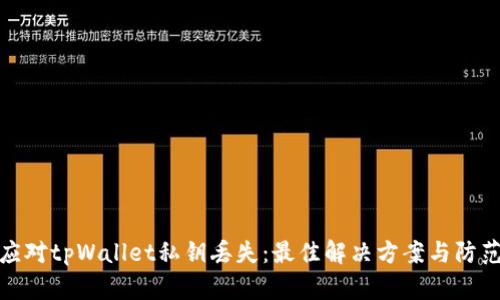 如何应对tpWallet私钥丢失：最佳解决方案与防范措施