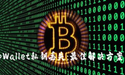 如何应对tpWallet私钥丢失：最佳解决方案与防范措施