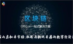 探索国内虚拟币市场：机遇与挑战并存