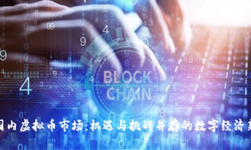 探索国内虚拟币市场：机遇与挑战并存的数字经济新领域