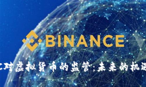 探索SEC对虚拟货币的监管：未来的机遇与挑战