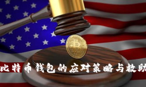 丢失比特币钱包的应对策略与救助方案