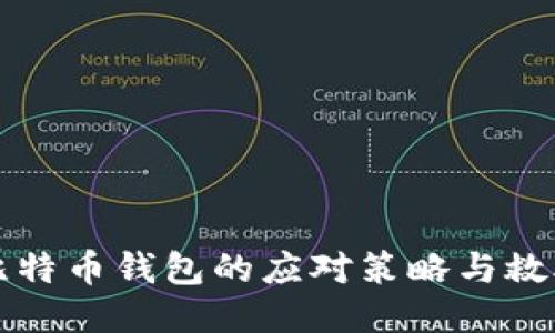 丢失比特币钱包的应对策略与救助方案