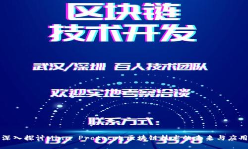 深入探讨Mina Protocol：区块链技术的未来与应用