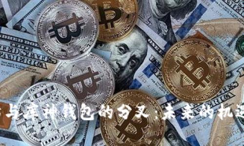  以太坊与库神钱包的分叉：未来的机遇与挑战