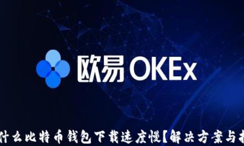 
为什么比特币钱包下载速度慢？解决方案与指南