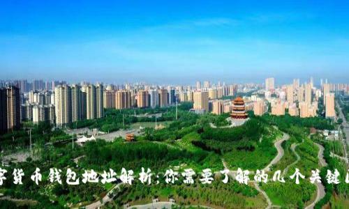 数字货币钱包地址解析：你需要了解的几个关键区别