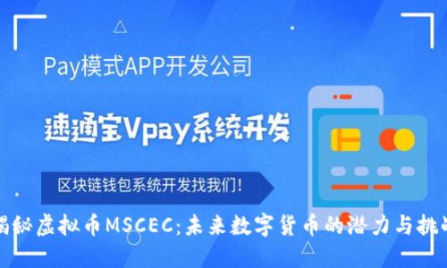 揭秘虚拟币MSCEC：未来数字货币的潜力与挑战