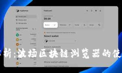 深入解析：波场区块链浏览器的使用指南