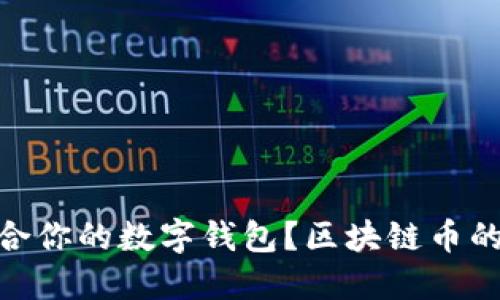 如何选择适合你的数字钱包？区块链币的安全与便捷