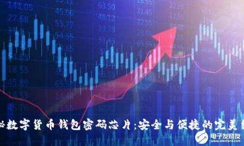 揭秘数字货币钱包密码芯片：安全与便捷的完美结合