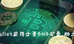 如何通过tpWallet获得少量BNB矿费，助力