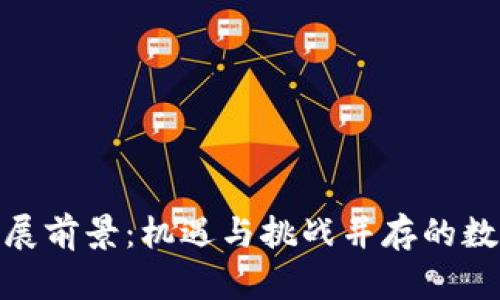 加密货币的发展前景：机遇与挑战并存的数字金融新时代
