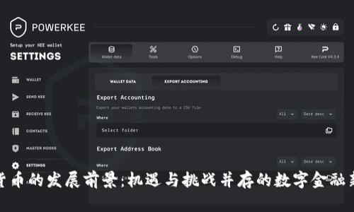 加密货币的发展前景：机遇与挑战并存的数字金融新时代
