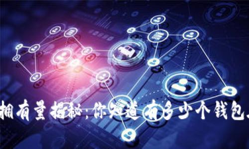 全球比特币钱包拥有量揭秘：你知道有多少个钱包在持有比特币吗？