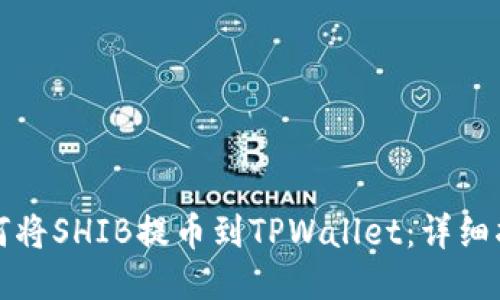 如何将SHIB提币到TPWallet：详细指南