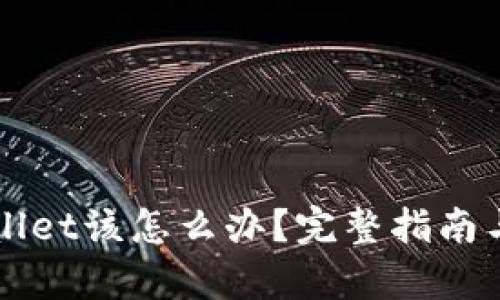 丢失tpWallet该怎么办？完整指南与解决方案