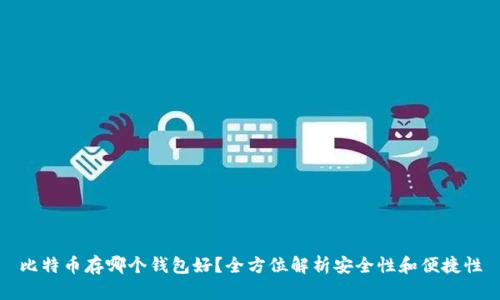比特币存哪个钱包好？全方位解析安全性和便捷性