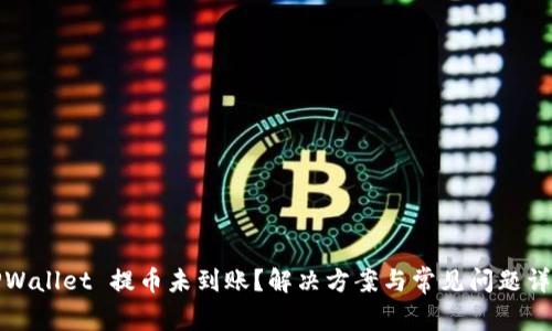 TPWallet 提币未到账？解决方案与常见问题详解