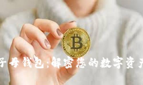 加密货币的子母钱包：解密您的数字资产管理新方式