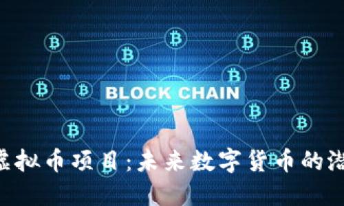 探索BSG虚拟币项目：未来数字货币的潜力与挑战