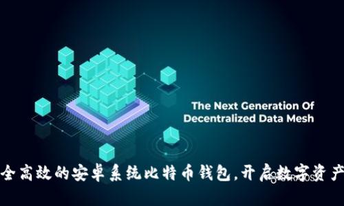 打造安全高效的安卓系统比特币钱包，开启数字资产新世界