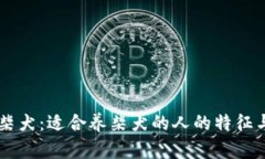 了解柴犬：适合养柴犬的人的特征与条