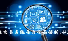 中国区块链交易系统平台全面解析：从