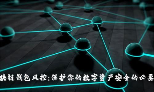 : 区块链钱包风控：保护你的数字资产安全的必要措施