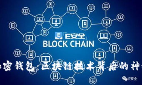 揭秘加密钱包：区块链技术背后的神秘面纱