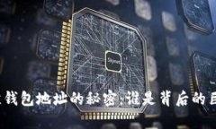 揭示比特币巨鲸钱包地址的秘密：谁是