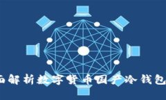 掌握安全：全面解析数字货币国产冷钱