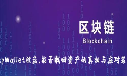  tpWallet被盗，能否找回资产的真相与应对策略