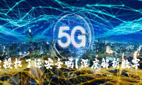 tpWallet被授权了还安全吗？深度解析数字钱包安全性
