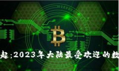 数字钱包的崛起：2023年大陆最受欢迎