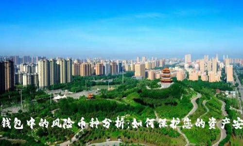 TP钱包中的风险币种分析：如何保护您的资产安全