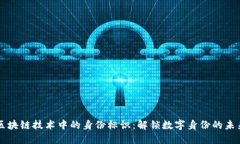 区块链技术中的身份标识：解锁数字身
