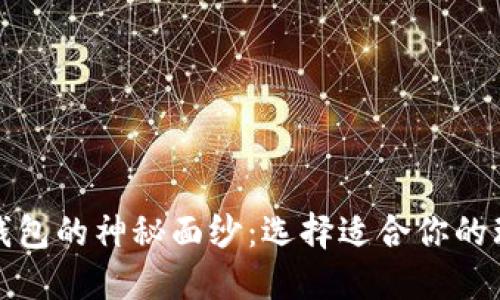 揭开比特币钱包的神秘面纱：选择适合你的理想电子钱包