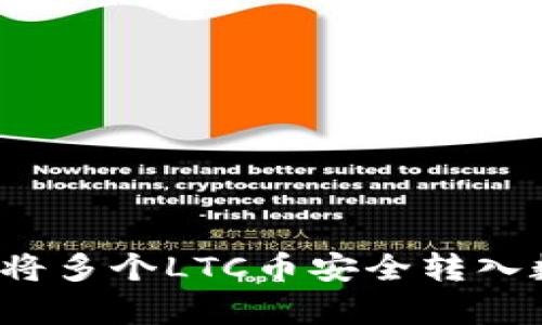 如何有效将多个LTC币安全转入数字钱包？